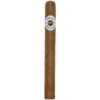 Ashton Classic Churchill