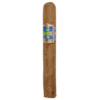 Foundation Wise Man Toro Corojo